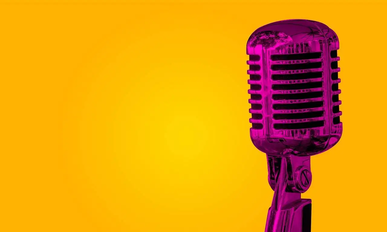 Unlocking the Power of Reddyanna Pro: A Comprehensive Guide for Modern Professionals